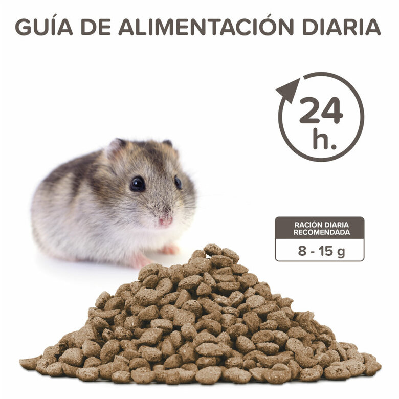 Beaphar Care+ alimento para hamsters anões, , large image number null